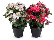 Umělá azalka v květináči