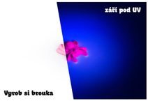 ALBI HRA Vrhcáby magnetické na cesty