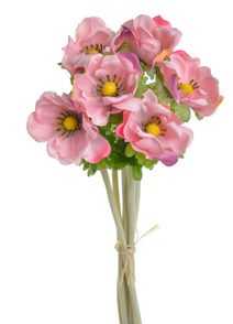 Kytice sasanek anemon růžová s fialovou 6 kusů