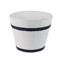 Obal na květiny s plastem D7224/2