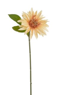 Květina 28 cm - meruňková