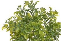 Zápich slepička, 2 ks D7063 - 37 cm