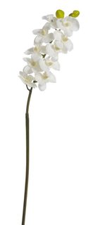 Větvička orchidej 63 cm - bílá