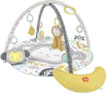 FISHER PRICE Baby xylofon tahací zábavný na kolečkách 8 kláves plast
