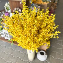 Zlatý déšť 100 cm