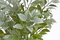 Umělý ruscus - sv. zelená