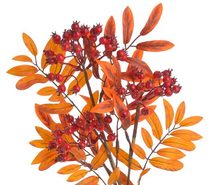 Jablíčka na drátku 6 kusů červené