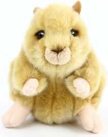 Křeček zlatý 16cm