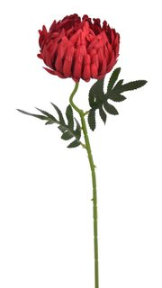 Chryzantéma 50 cm - červená
