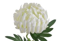 Bílé podlouhlé šišky glitter 12 ks