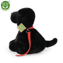 Rohy čerta filc s peřím