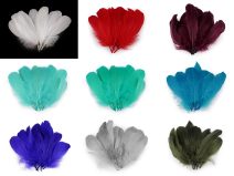 Husí peří délka 14-18 cm 10 kusů