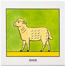 Nákupní vozík dětský barevný 56x47x37cm 2 barvy plast