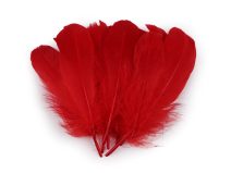 Husí peří délka 14-18 cm 10 kusů