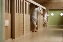 Korálky barevné mozaika 3D objekty zvířátka set s doplňky 6 druhů v sáčku