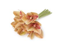 Umělá orchidej svazek
