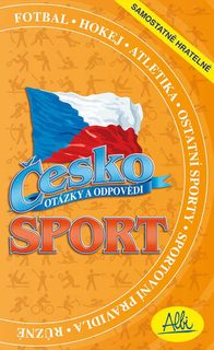 Radnice 33W14 dřevěná stavebnice