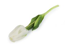 Umělý tulipán