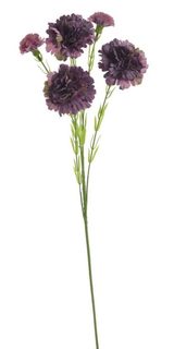 Kytice trsový karafiát 61 cm - tmavá fialová