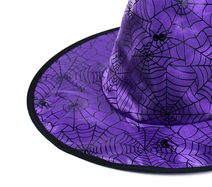 Plášť + klobouk čarodějnický/halloweenský, dospělý