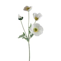 Vlčí mák X7963-01 - 64*15*5CM