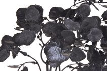 Vřesovec trs 5 větviček - krémová