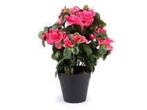 Umělá azalka v květináči