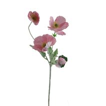 Vlčí mák X7963-05 - 64*15*5CM