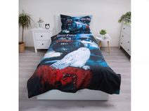Polštářek Harry Potter 138 Polyester, 40/40 cm