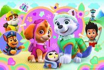 Puzzle třpytivé Skye a Everest Tlapková patrola/Paw patrol 70 dílků 41x27,5cm v kr. 28x20x8cm