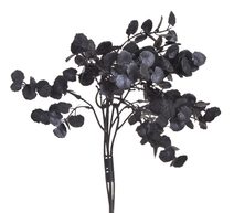 Eukalyptus trs 5 větviček – černý, 40 cm