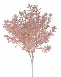 Trs rostlina s drobnými lístky - starorůžová