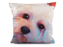 Sametový povlak na polštář pes, kočka 45x45 cm