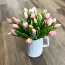 Tulipán papouškovitý 5 ks - bílá se zelenou kresbou