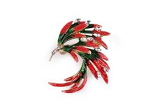 Brož s broušenými kamínky rajka