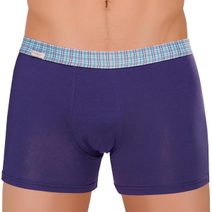 Pánské boxerky BX 00501 grey