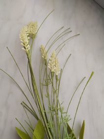 Trs rostlina s drobnými lístky - zelená