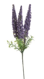 Umělý rozrazil - fialová