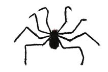 Pavouk malý 2ks plyš 10x7cm na kartě karneval