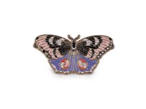 Brož / odznak motýl