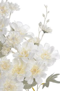 Vřesovec trs 5 větviček - krémová