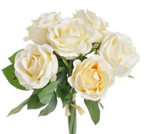 kytice růží 6 ks - krémová