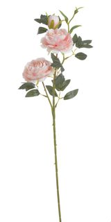 Plnokvětá růže 65 cm - růžová