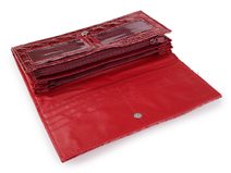 Dámská / dívčí peněženka metalická 9,5x19 cm