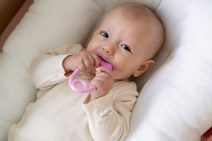 Slon, lev baby plyšový závěsný