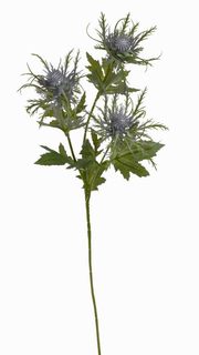 Umělý bodlák modrozelený 65 cm