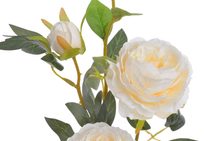 Plnokvětá růže 65 cm - krémová