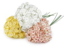 Umělá kytice achillea