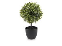 Umělý buxus v květináči