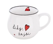 Hrnek keramický Díky, že jsi O0637 - pr.9,5cm,v.7,5cm,o.300ml